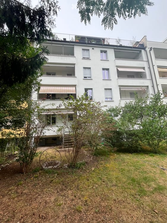 Helle, neu renovierte Wohnung in Basel 2