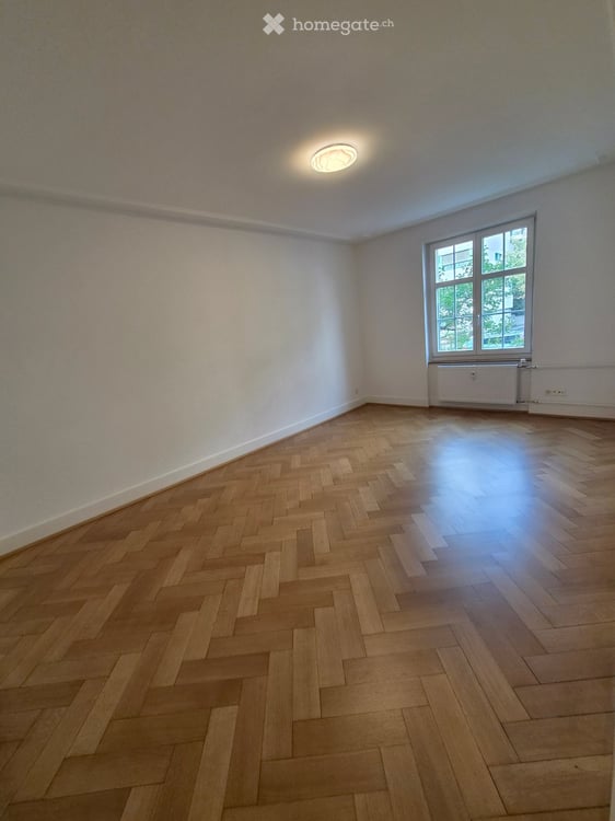 Helle, neu renovierte Wohnung in Basel 4