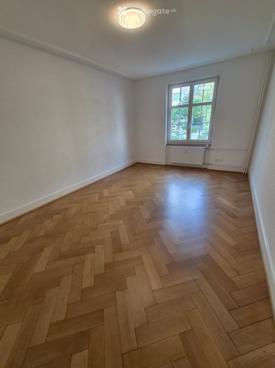 Helle, neu renovierte Wohnung in Basel 6