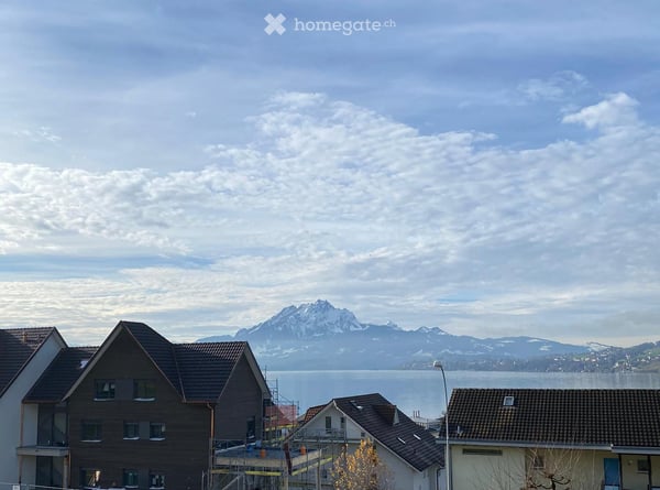 Grosse sonnige Wohnung mit Seesicht am Fuss der Rigi mit Platz für Homeoffice