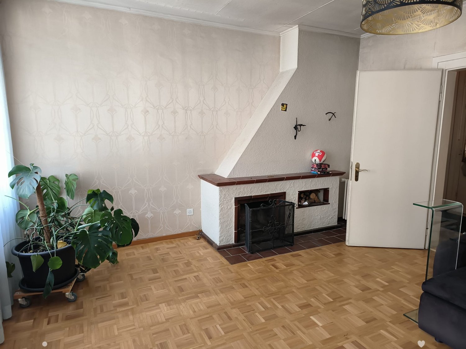 Living room with wooden parquet flooring, fireplace, potted plant, and a small shelf with books and a ball.