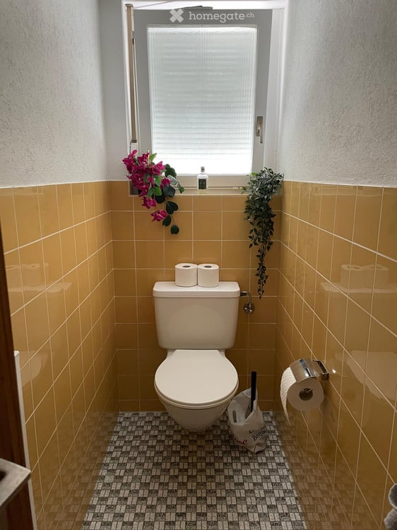 Grosse, helle und renovierte Wohnung mit Aussicht 9