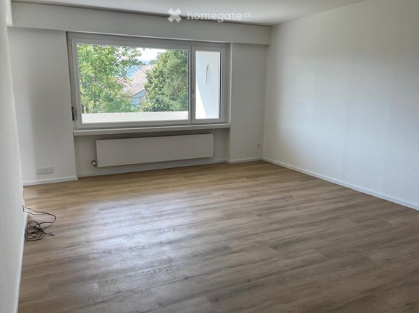 Grosse, helle und renovierte Wohnung mit Aussicht 4