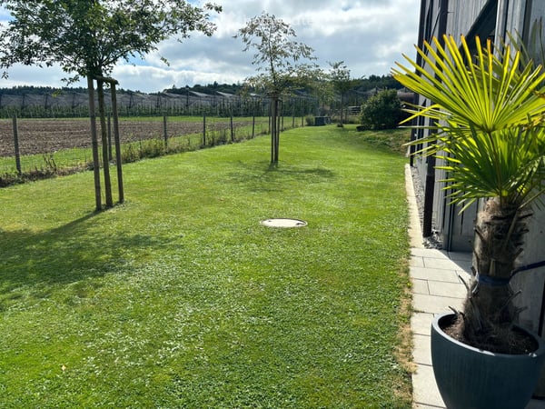 Traumhafte Parterre-Wohnung in idyllischer Lage 5