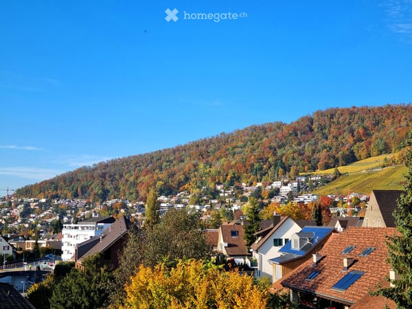 Helle Attikawohnung mit schöner Aussicht, grosser Terrasse und Garten über den Dächern von Wettingen 4