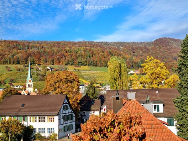 Helle Attikawohnung mit schöner Aussicht, grosser Terrasse und Garten über den Dächern von Wettingen 5