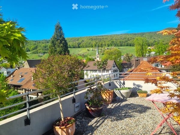 Helle Attikawohnung mit schöner Aussicht, grosser Terrasse und Garten über den Dächern von Wettingen 2