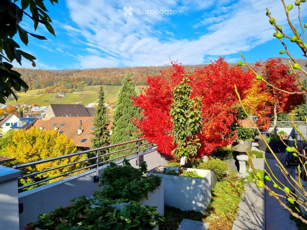 Helle Attikawohnung mit schöner Aussicht, grosser Terrasse und Garten über den Dächern von Wettingen 3