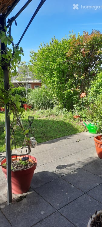 Denges – Superbe appartement 5.5 pièces (env. 132 m²) avec jardin privatif 6