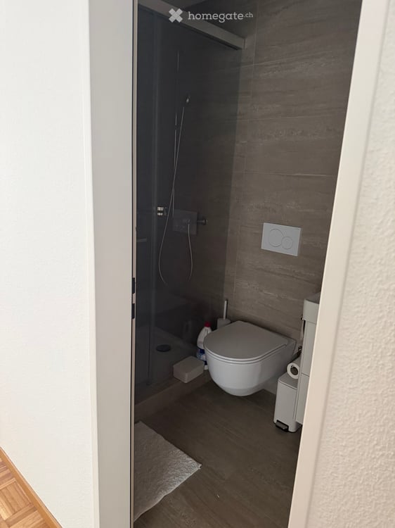 Grosszügige 4.5-Zimmer-Wohnung mit Bergblick in Adliswil 11