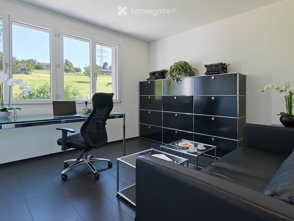 Baar. Unbeschränkte Sicht auf den Zugersee und die Berge 8