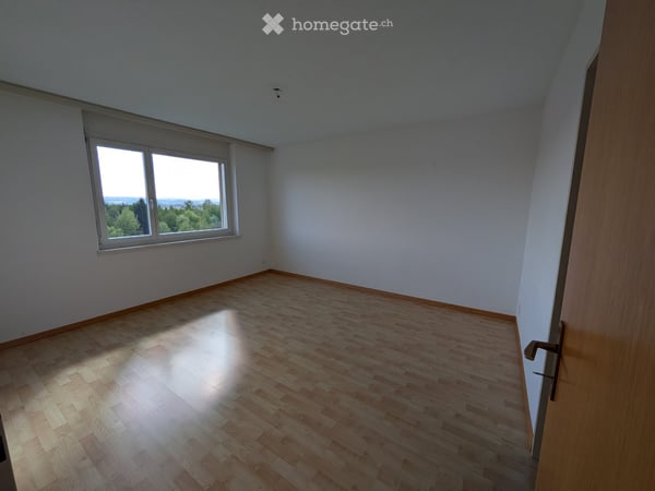 Helle 4.5-Zimmer-Wohnung mit Balkon und schöner Aussicht in Widen 8