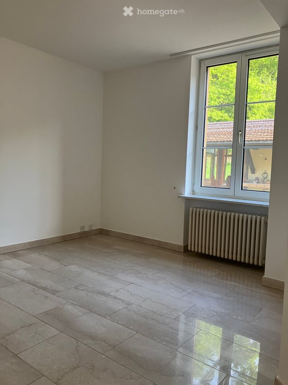 Renovierte 3.5-Zimmer-Wohnung im Erdgeschoss in Nenzlingen – ab November 2026 verfügbar 17
