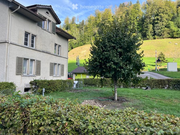 1 Charmante 3.5-Zimmer-Dachwohnung im Altbau mit herrlicher Sicht ins Grüne in Fischenthal 14