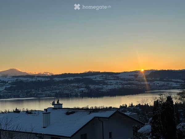 Stunning 8-Room Family Home with Lake & Mountain Views in Uetikon am See 3