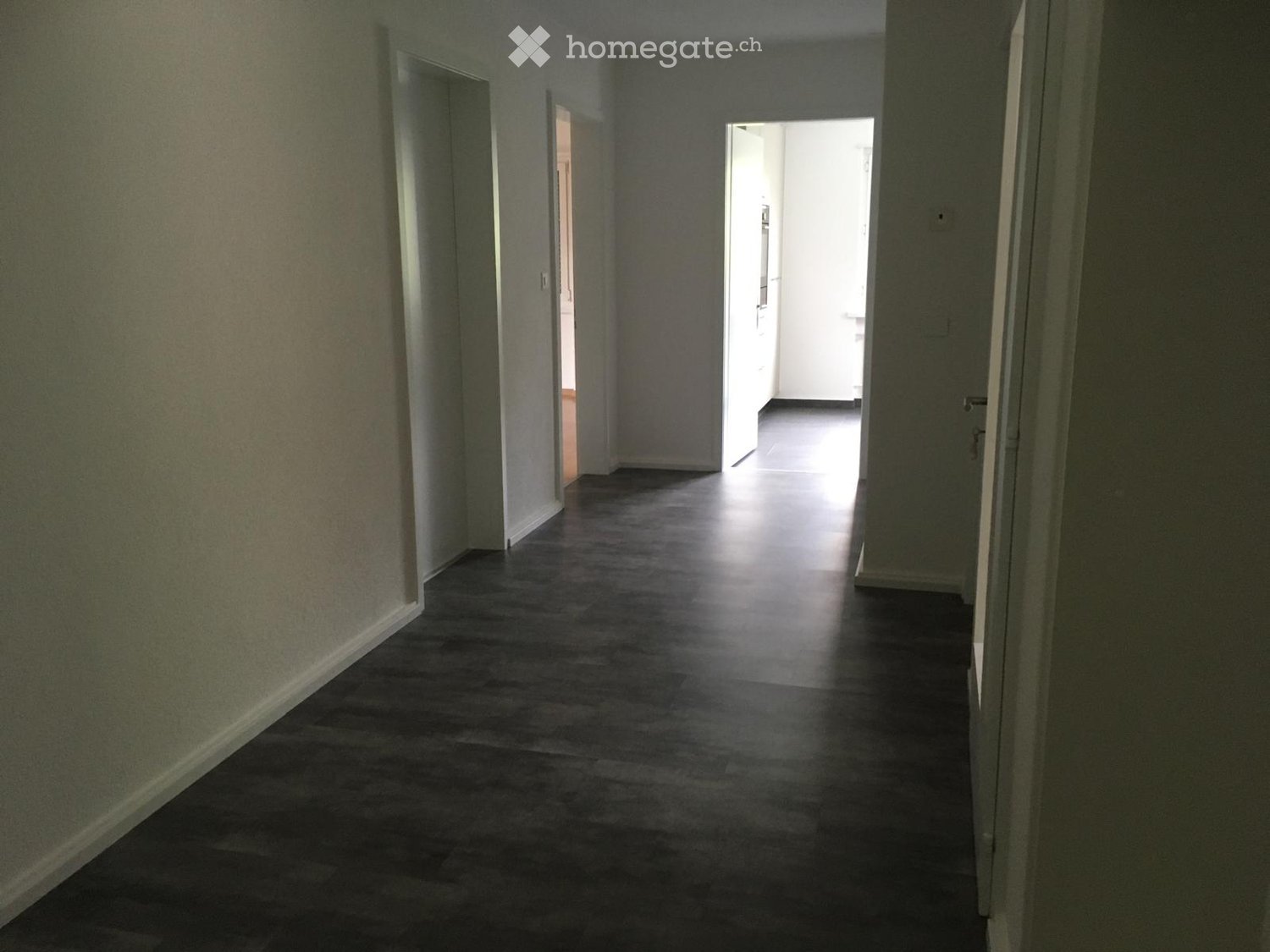Empty hallway with dark flooring and light-colored walls, featuring two open doors leading to other rooms.