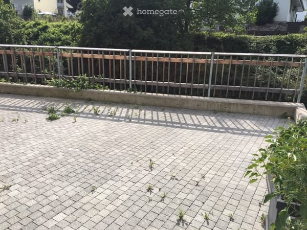 Loft-artige Dachwohnung in ehemaligem Bauernhaus mit grossem Gartensitzplatz am Bach 8