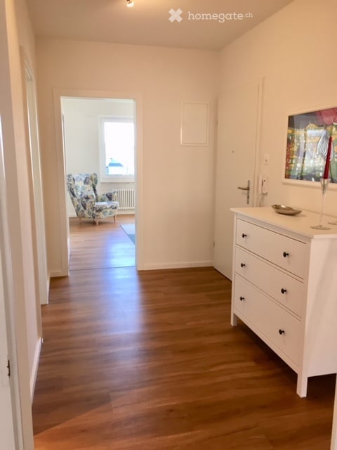 3.5 Z. Wohnung möbl. mit Balkon am Park / 3.5 room furnished apartment incl. balcony facing the park 4