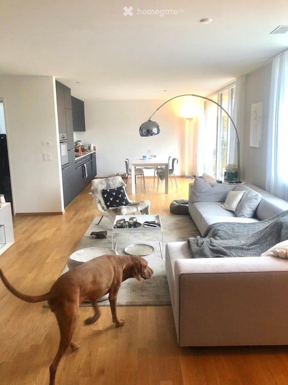 Grosszügige Attikawohnung mit grosser Terrasse in ruhiger Lage 4