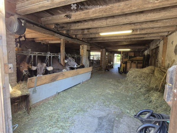 Grosszügiges Bauernhaus mit 2 Wohnungen, Stall & Scheune in der Wohn-/Gewerbezone 5