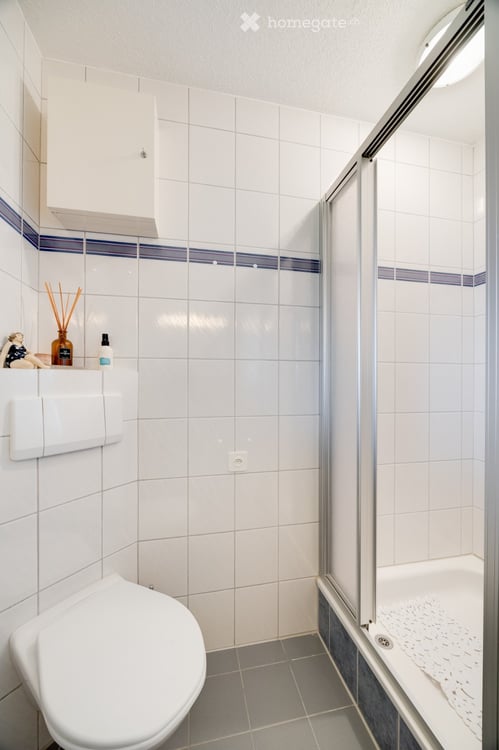 Spacious 5.5-Room Apartment in Siebnen – Renovated & Wheelchair Accessible 10