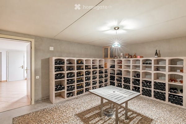 Rare – Belle villa de maître avec piscine et parc de 4’000 m² 11