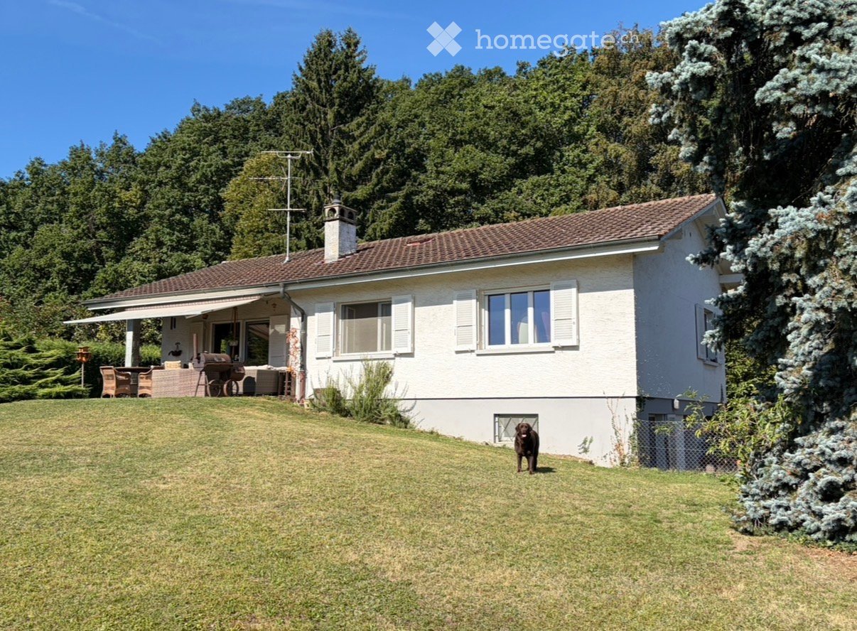 Single-story house with white exterior, brown tiled roof, and multiple windows with shutters. A covered patio area with outdoor furniture is visible, and a dog stands on the lawn.