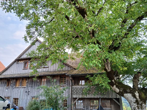 4,5-Zimmer-Wochnung in 2-Familien-Bauernhaus im Käfer bei Turbenthal 2