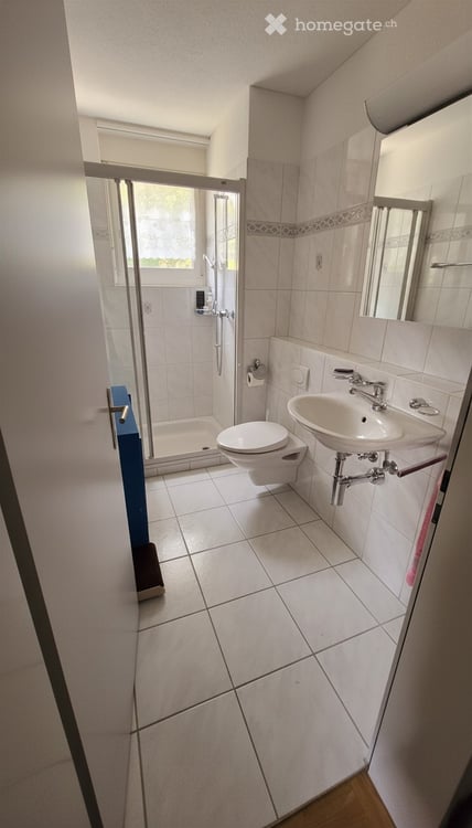 Moderne 4.5-Zimmer-Oase nahe dem Vierwaldstättersee 14