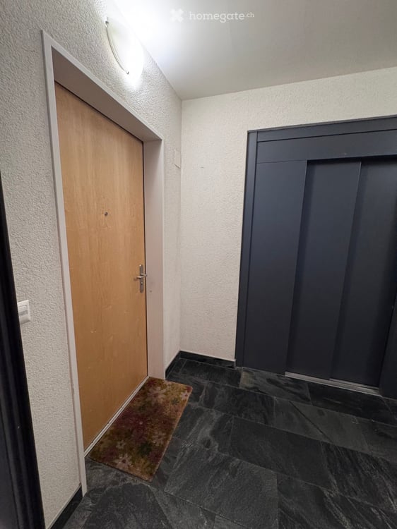 Spacious 6.5-Room Ground Floor Apartment with Private Garden and Terrace 47