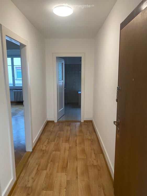 Grosszügige Altbau Wohnung im Neubad, nähe Neuweilerplatz 55 m2 4