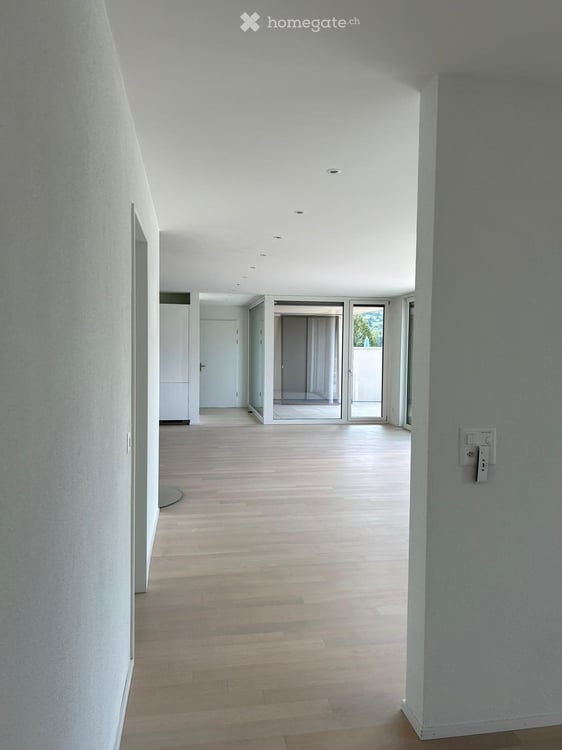 Hochwertige 4.5-Zimmer-Attikawohnung in Zeiningen mit traumhafter Aussicht & Whirlpool 5