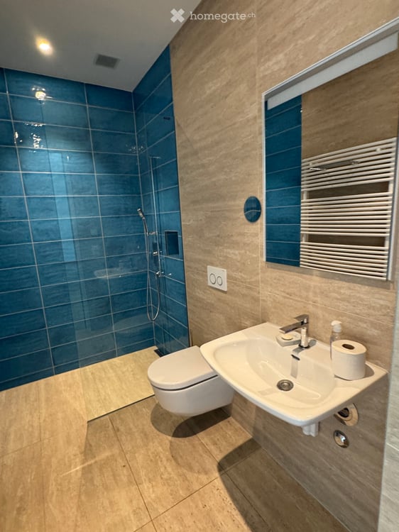 Penthouse der Extraklasse in Wollerau 6