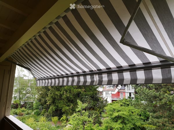Wohnung in Basel mit grossem Garten 5