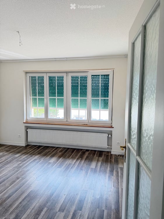 Wohnung in Basel mit grossem Garten 1