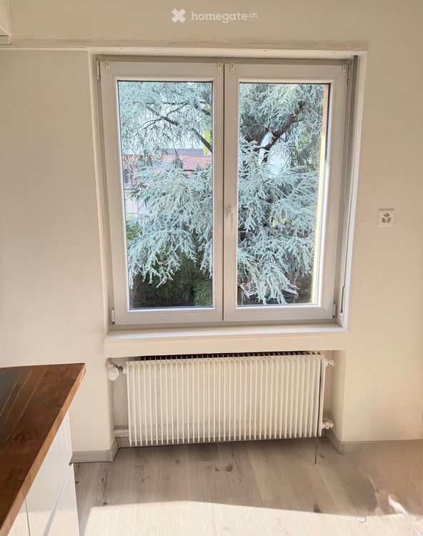 Wohnung in Basel mit grossem Garten 6