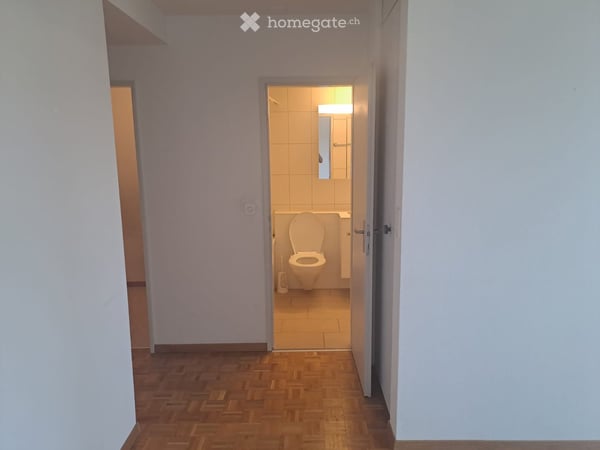 Helle 1-Zimmer-Wohnung mit Balkon in ruhiger Lage – Männedorf 5