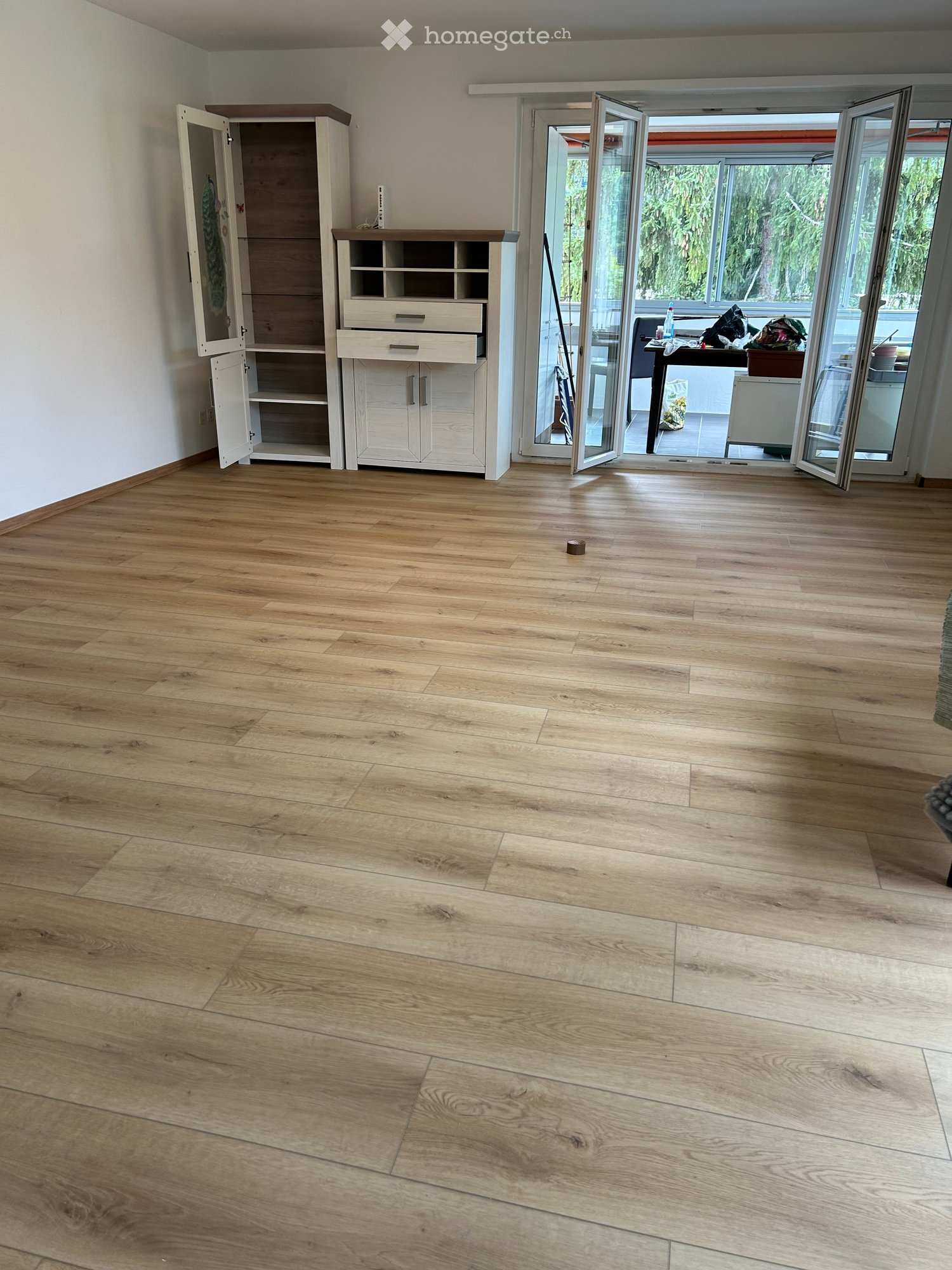 Empty room with light wooden flooring, white walls, and a large sliding glass door leading to a balcony area. Two white cabinets are visible against the wall.