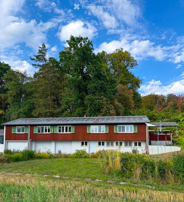 Charmante 6.5 Zi-Wohnung im Grünen 12