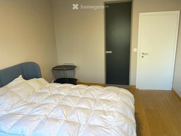 Spacieux et luxueux appartement de 4.5 pièces avec vue panoramique – Grand-Saconnex, Genève 8