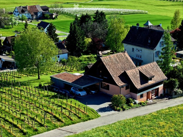 Einfamilienhaus mit traumhafter Aussicht und eigenem Rebberg 2