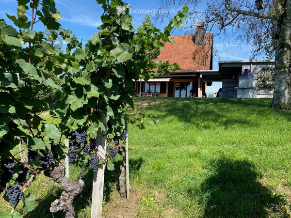 Einfamilienhaus mit traumhafter Aussicht und eigenem Rebberg 18