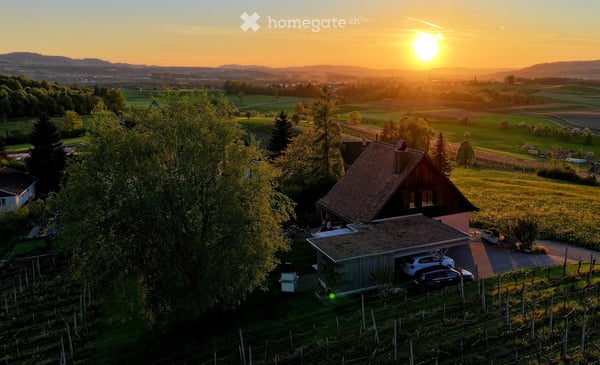 Einfamilienhaus mit traumhafter Aussicht und eigenem Rebberg 4