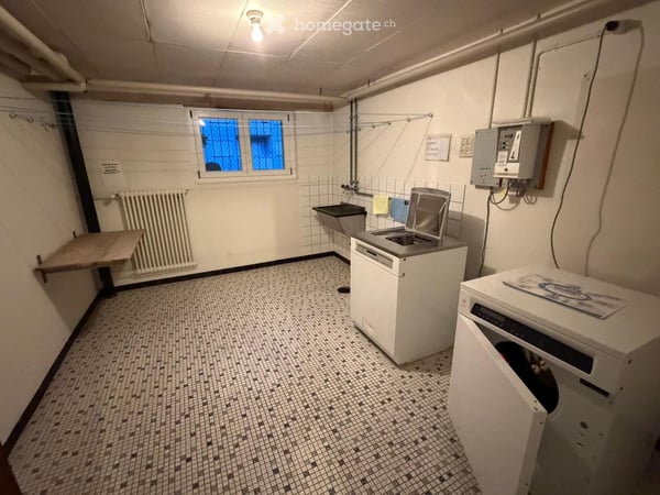 Charming Furnished 2.5-Room Apartment in Zürich-Albisrieden 22