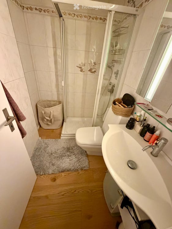 Charming Furnished 2.5-Room Apartment in Zürich-Albisrieden 13