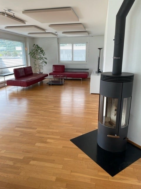 Modern living room with wooden flooring, red leather sofa, glass coffee table, fireplace, and a potted plant near the window.