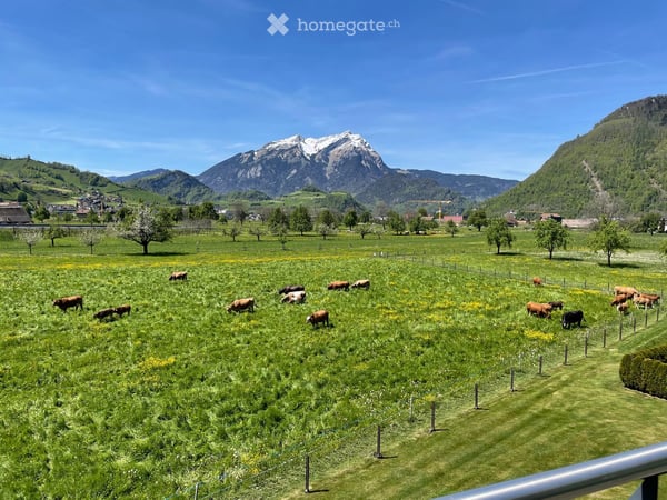 Grosszügige 6.5-Zimmer-Attikawohnung mit 165 m² Terrasse und Bergsicht 16
