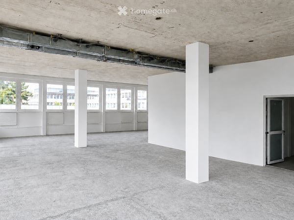 725-725m² Gewerbe in Schwerzenbach mieten, Edelrohbau 4