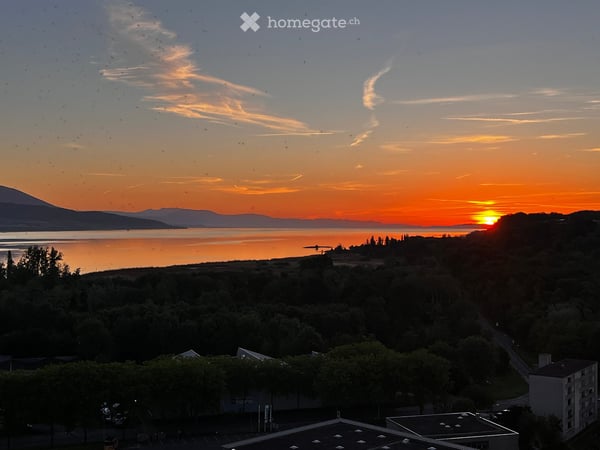 Aperçu de l'image de l'immobilier
