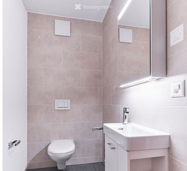 4.5 Zimmermaisonette in Uster 3
